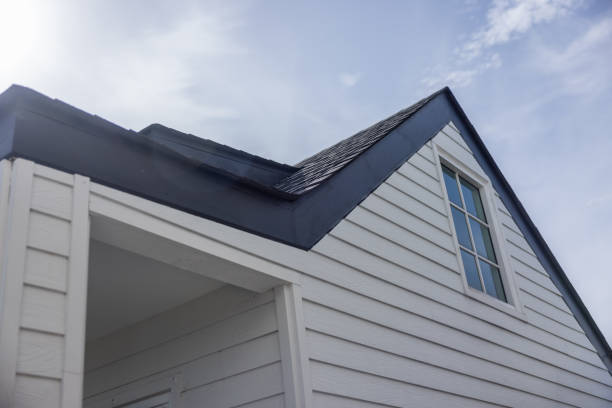 Best Siding for New Construction  in Detroit Lakes, MN